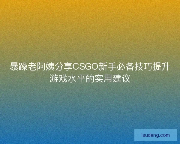 暴躁老阿姨分享CSGO新手必备技巧提升游戏水平的实用建议
